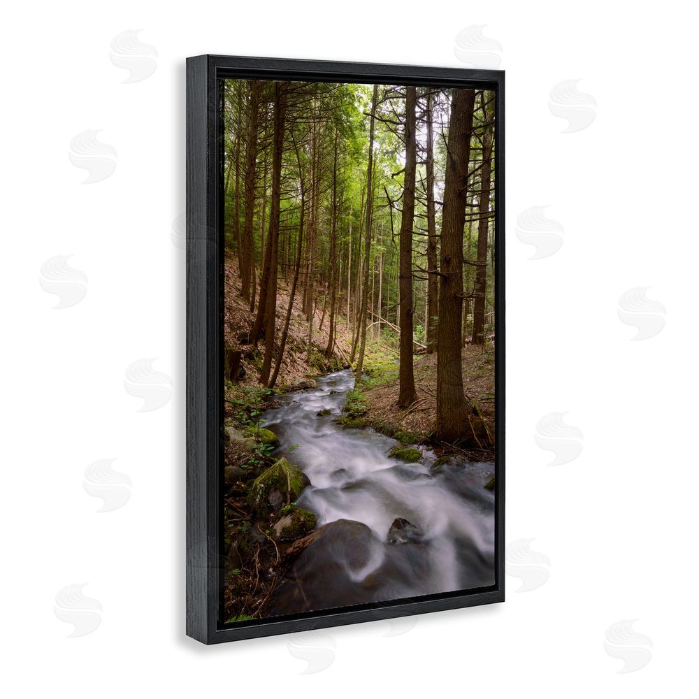 James Rodewald Mist In The Adirondacks Black Floating Frame Canvas Wall Art Print