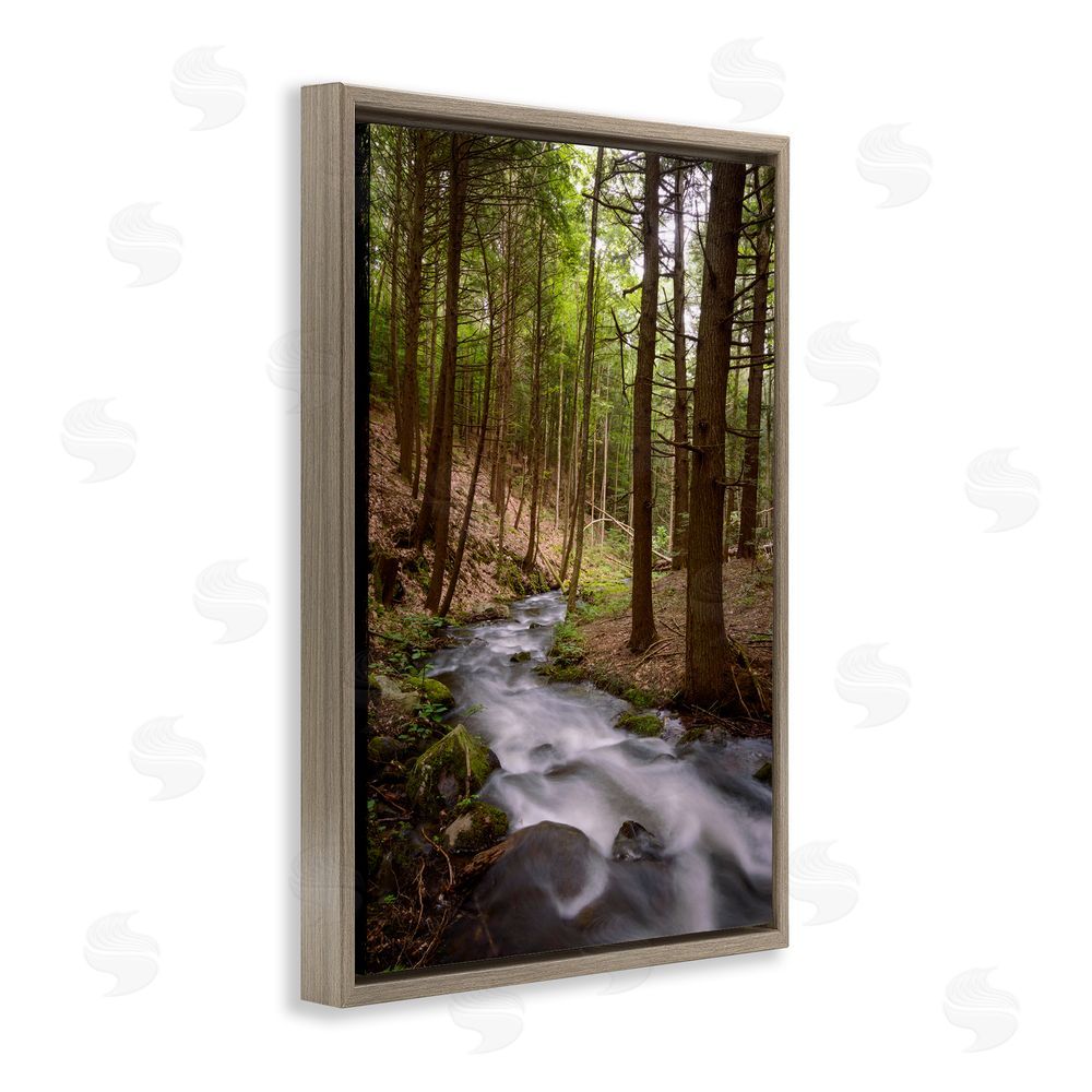 James Rodewald Mist In The Adirondacks Brown Floating Frame Canvas Wall Art Print