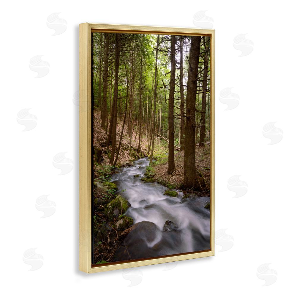 James Rodewald Mist In The Adirondacks Gold Floating Frame Canvas Wall Art Print