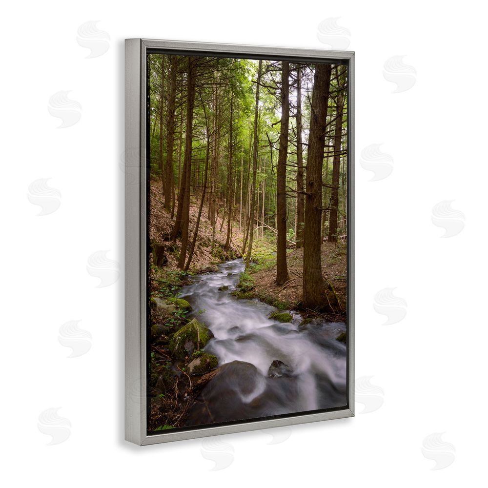 James Rodewald Mist In The Adirondacks Gray Floating Frame Canvas Wall Art Print