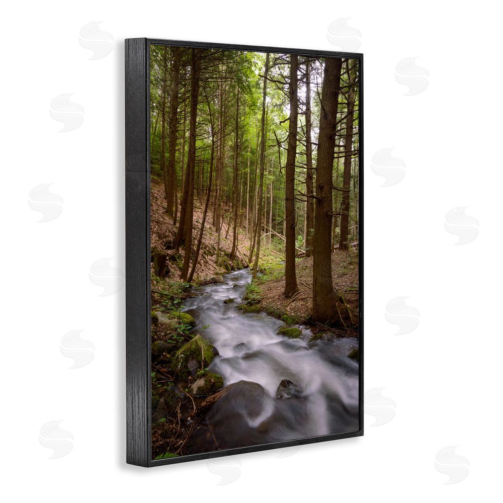 James Rodewald Mist In The Adirondacks Black Framed Giclee Wall Art Print