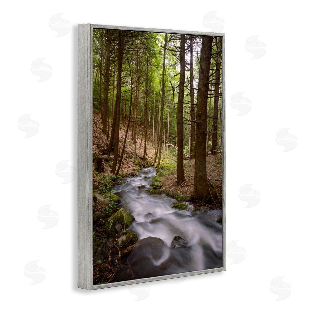 James Rodewald Mist In The Adirondacks Gray Framed Giclee Wall Art Print