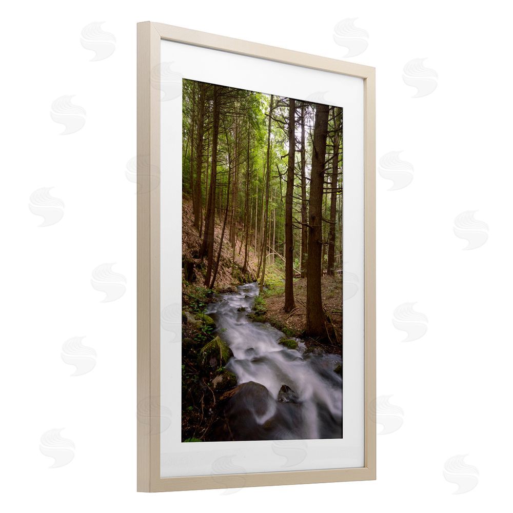 James Rodewald Mist In The Adirondacks Birch Framed Print Under Glass with White Mat Wall Art