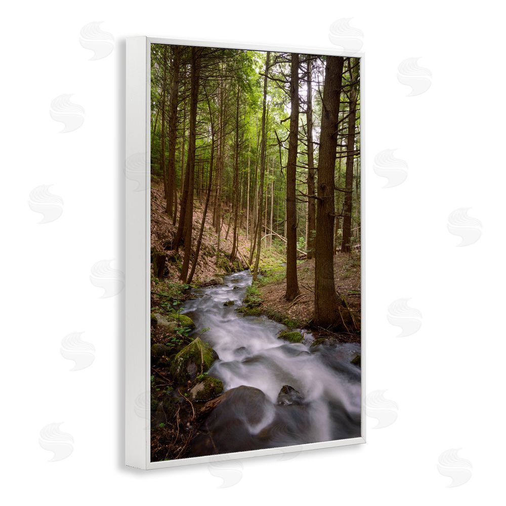 James Rodewald Mist In The Adirondacks White Framed Giclee Wall Art Print