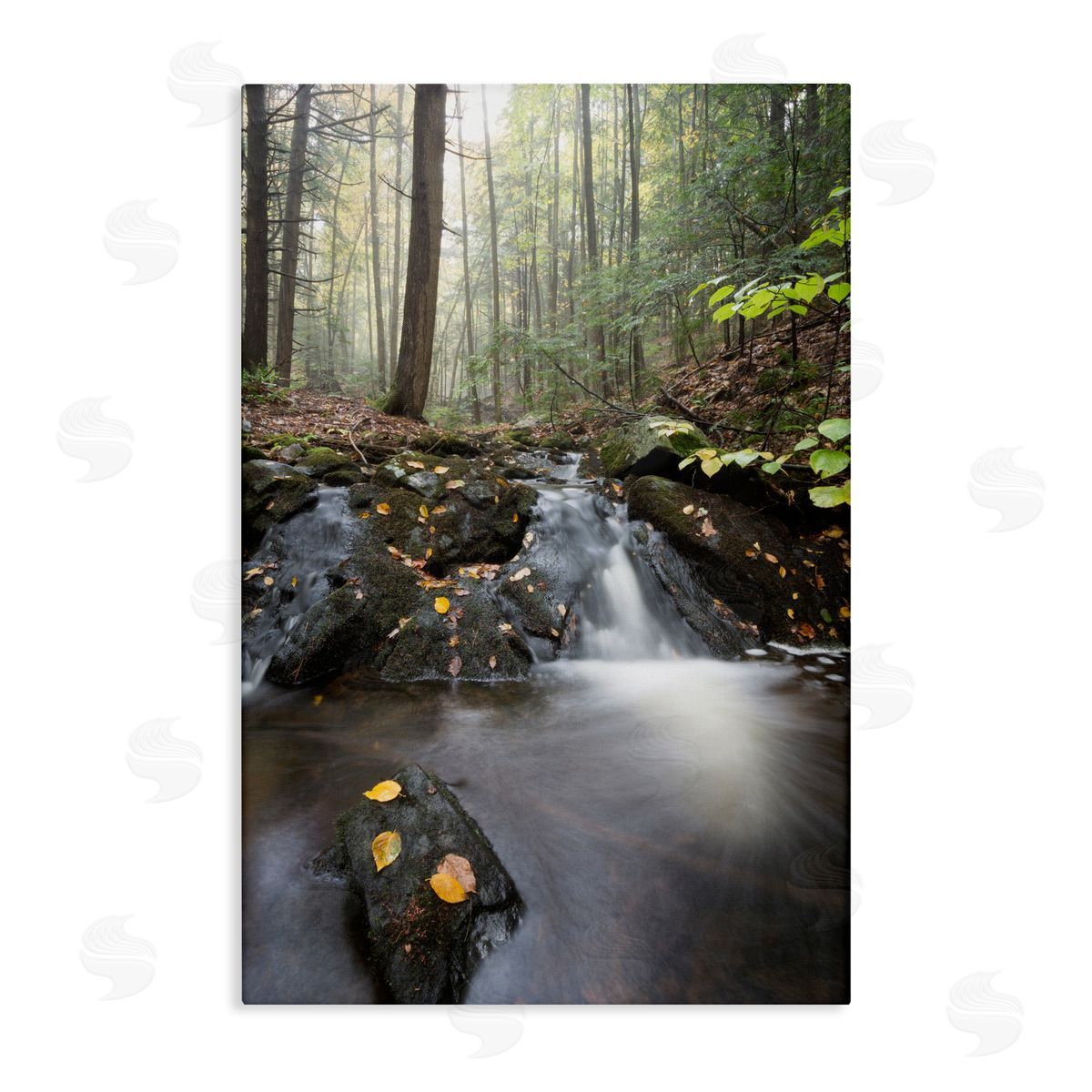 James Rodewald Misty Stream Adirondacks Canvas Wall Art Print