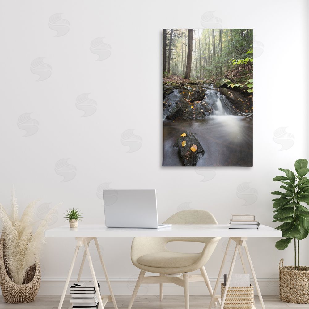 James Rodewald Misty Stream Adirondacks Canvas Art on Wall