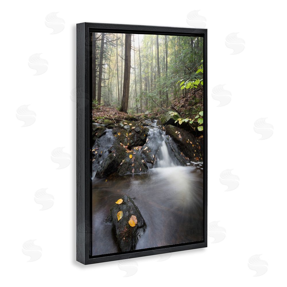 James Rodewald Misty Stream Adirondacks Black Floating Frame Canvas Wall Art Print
