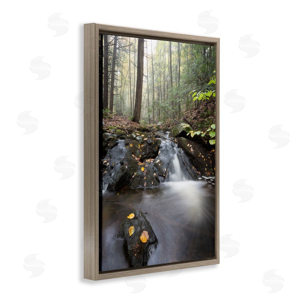 James Rodewald Misty Stream Adirondacks Brown Floating Frame Canvas Wall Art Print
