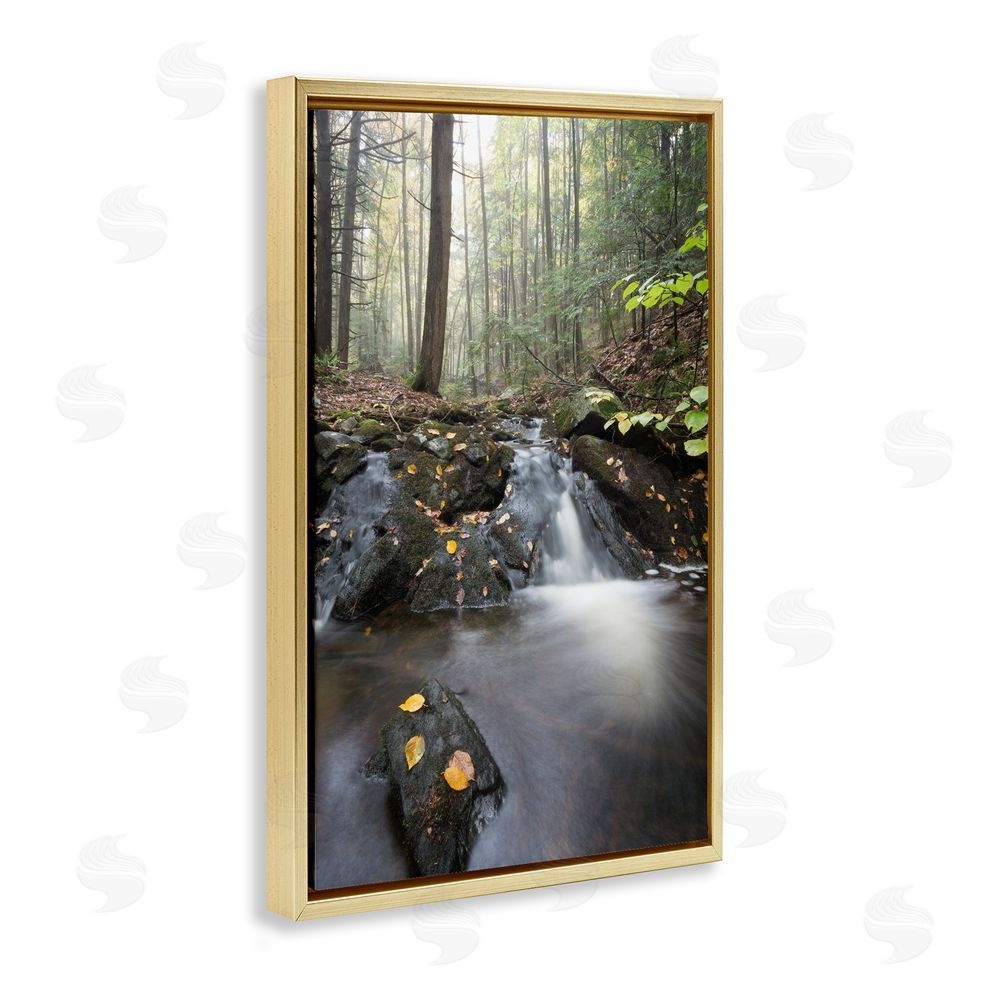 James Rodewald Misty Stream Adirondacks Gold Floating Frame Canvas Wall Art Print