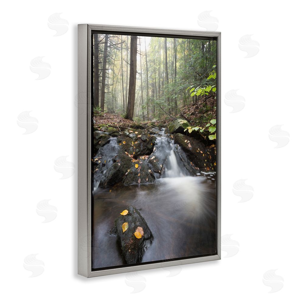 James Rodewald Misty Stream Adirondacks Gray Floating Frame Canvas Wall Art Print