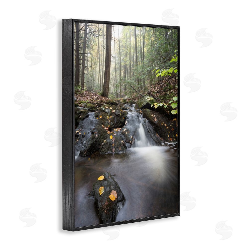 James Rodewald Misty Stream Adirondacks Black Framed Giclee Wall Art Print