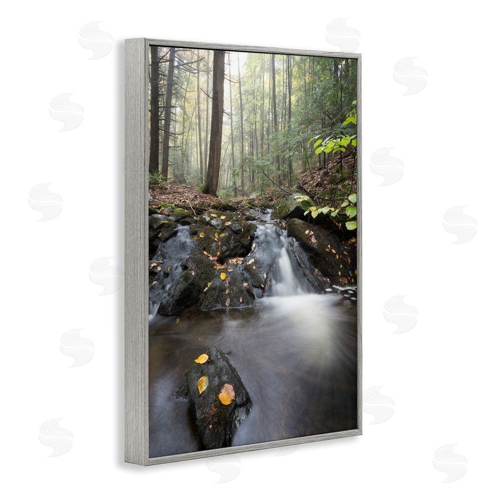 James Rodewald Misty Stream Adirondacks Gray Framed Giclee Wall Art Print