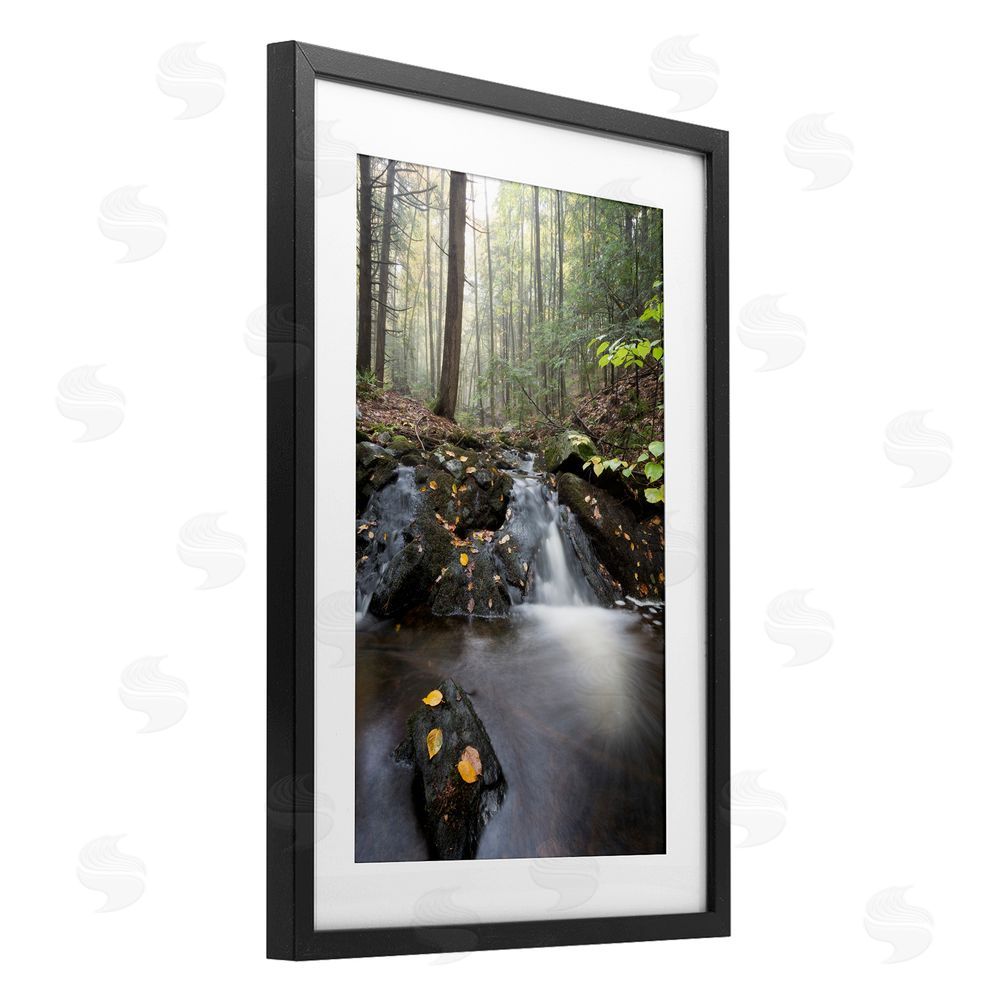James Rodewald Misty Stream Adirondacks Black Framed Print Under Glass with White Mat Wall Art