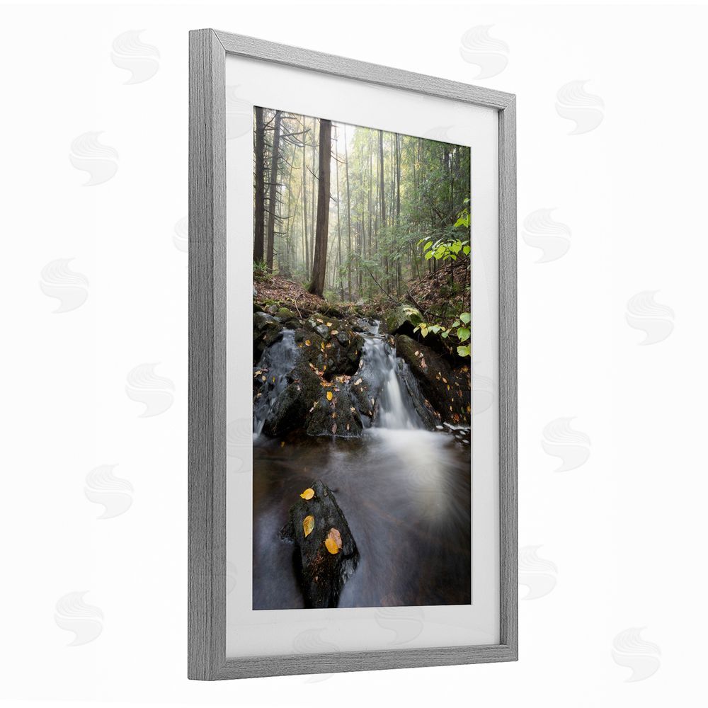 James Rodewald Misty Stream Adirondacks Gray Framed Print Under Glass with White Mat Wall Art