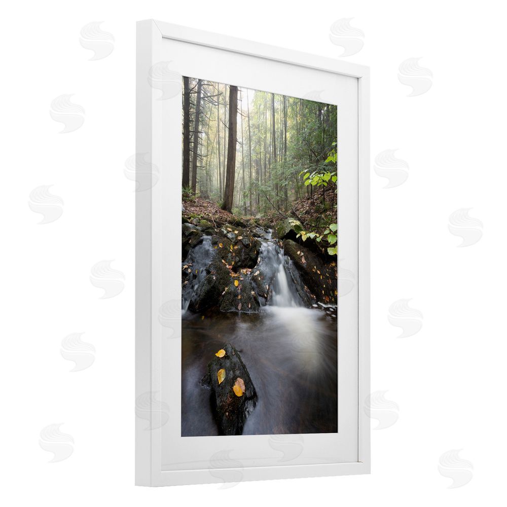James Rodewald Misty Stream Adirondacks White Framed Print Under Glass with Mat Wall Art