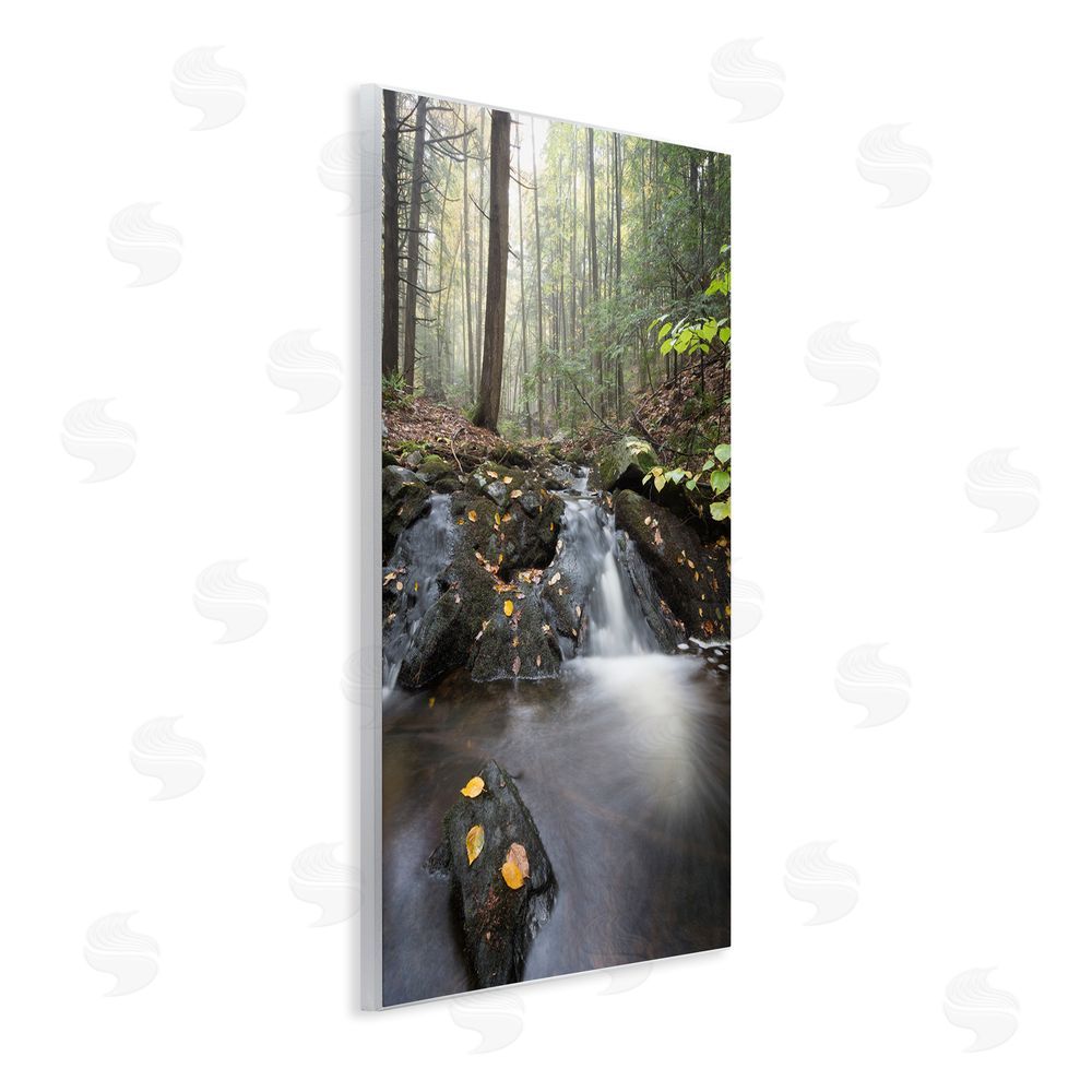 James Rodewald Misty Stream Adirondacks Wall Plaque Art Print