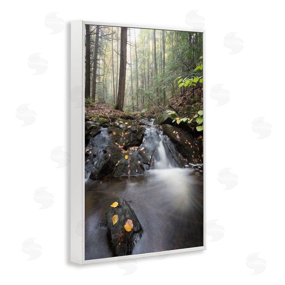 James Rodewald Misty Stream Adirondacks White Framed Giclee Wall Art Print