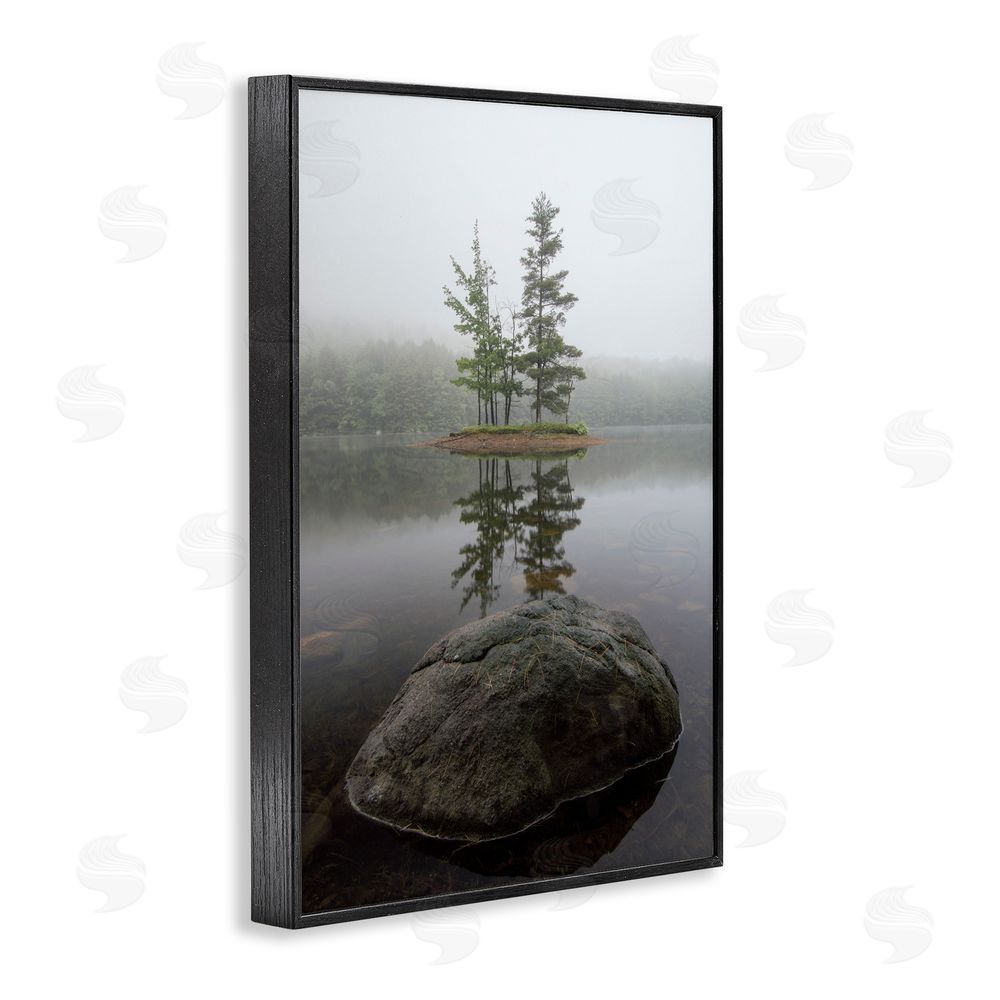 James Rodewald Duo Trees Lake Reflection Black Framed Giclee Wall Art Print