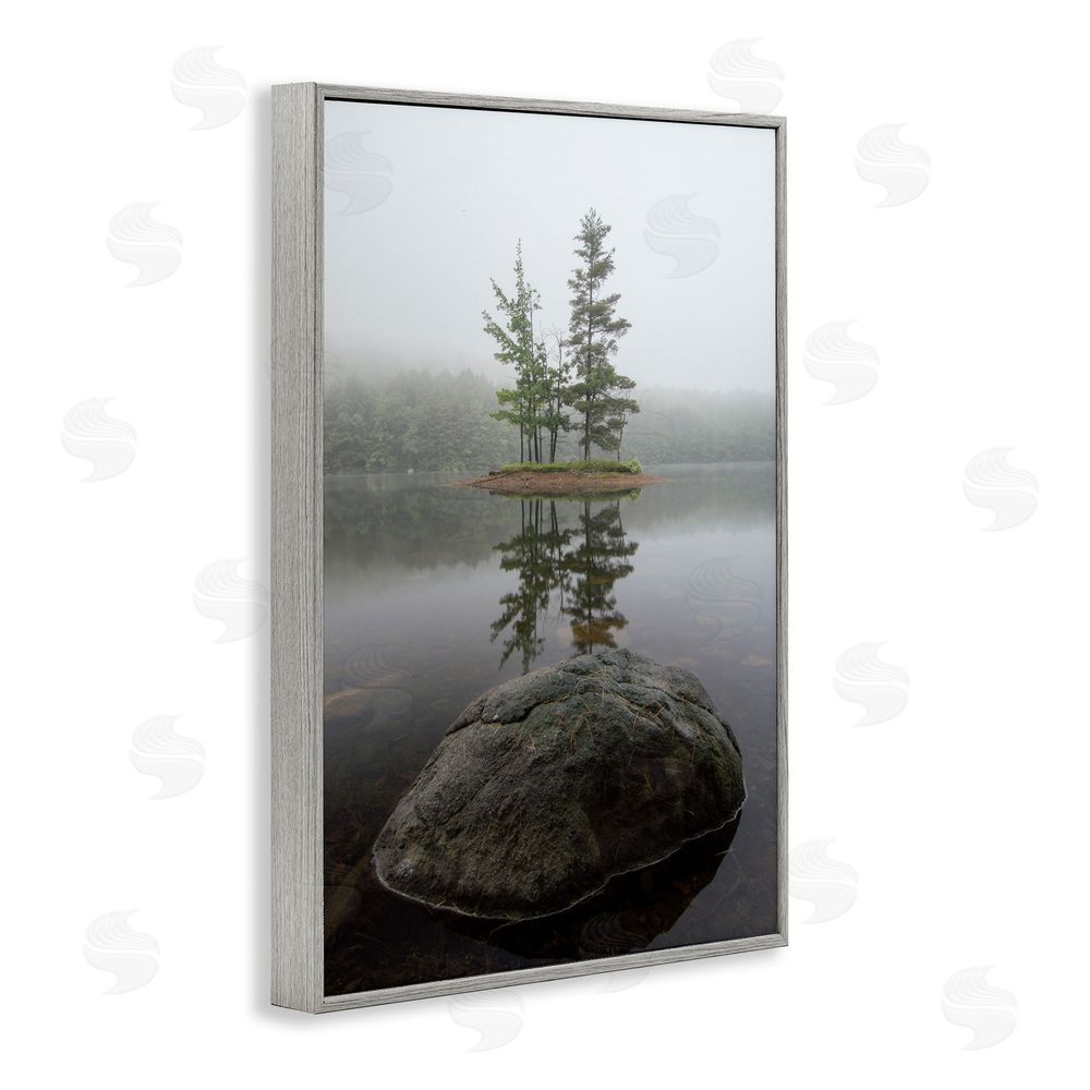James Rodewald Duo Trees Lake Reflection Gray Framed Giclee Wall Art Print