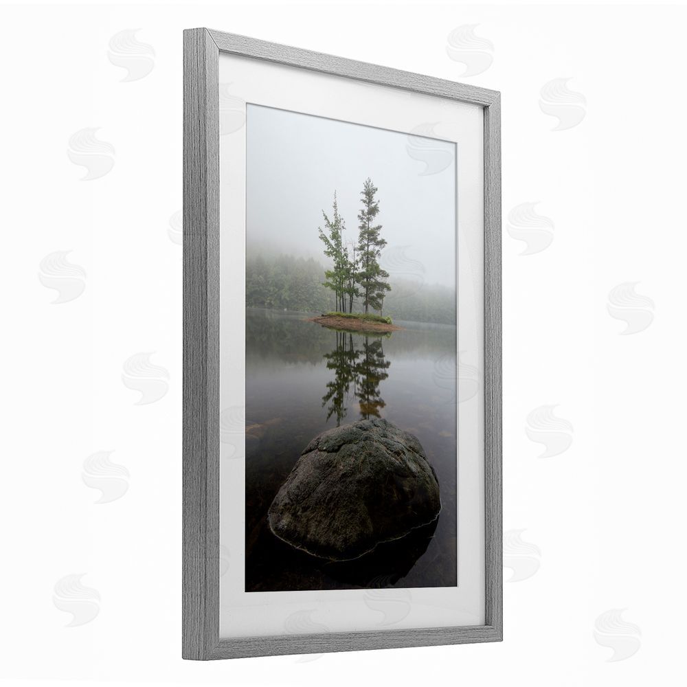 James Rodewald Duo Trees Lake Reflection Gray Framed Print Under Glass with White Mat Wall Art