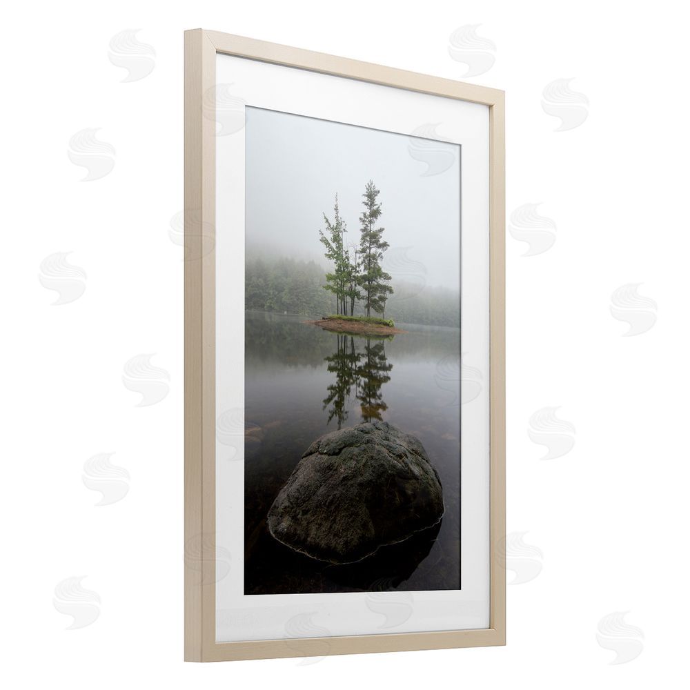 James Rodewald Duo Trees Lake Reflection Birch Framed Print Under Glass with White Mat Wall Art