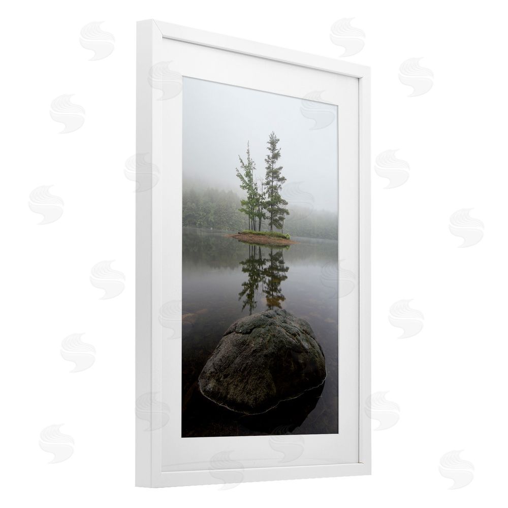 James Rodewald Duo Trees Lake Reflection White Framed Print Under Glass with Mat Wall Art