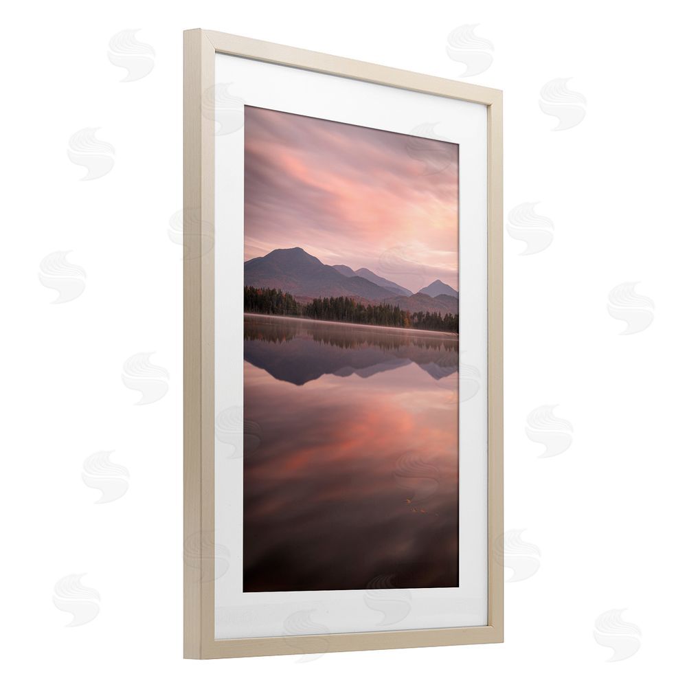 James Rodewald Dawn Reflection In Glory Birch Framed Print Under Glass with White Mat Wall Art