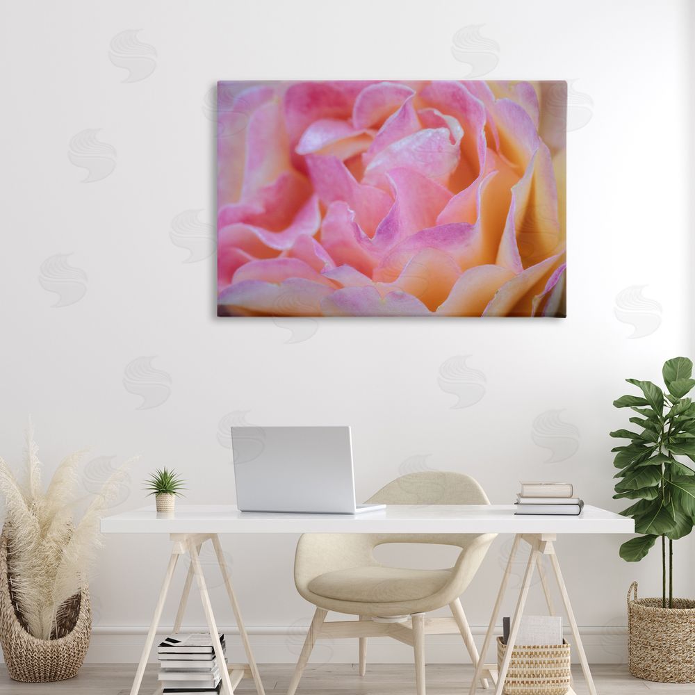 James Rodewald Pink Floral Petals Palette Canvas Art on Wall