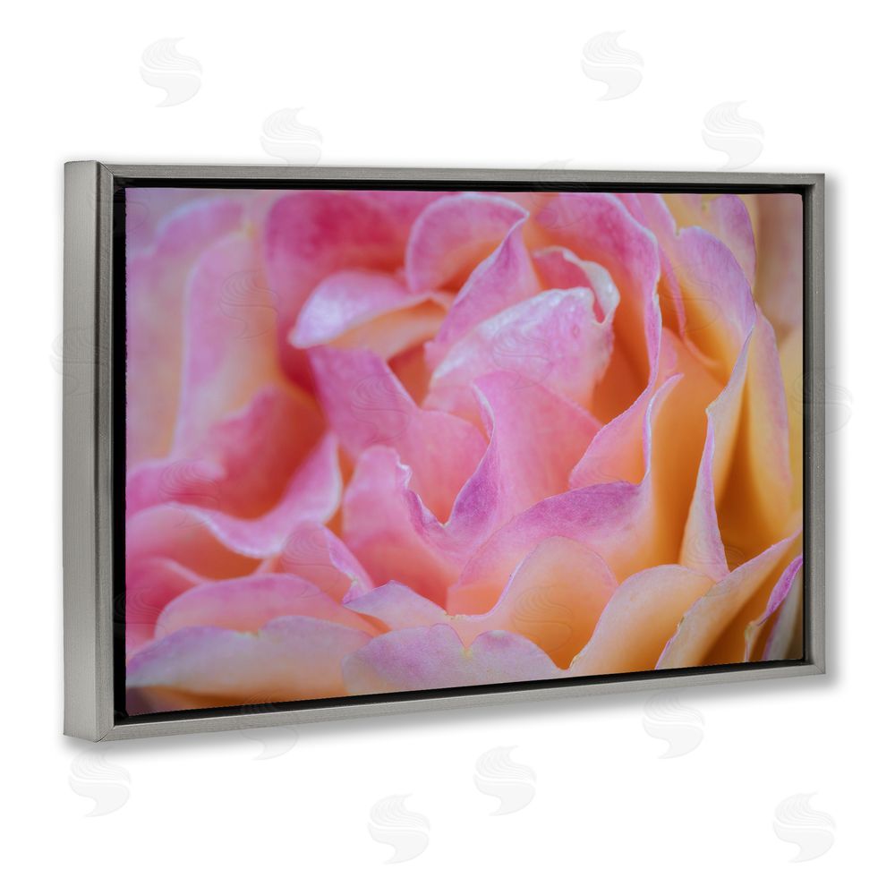 James Rodewald Pink Floral Petals Palette Gray Floating Frame Canvas Wall Art Print