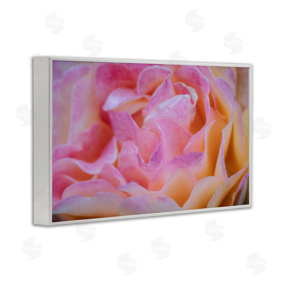 James Rodewald Pink Floral Petals Palette White Framed Giclee Wall Art Print
