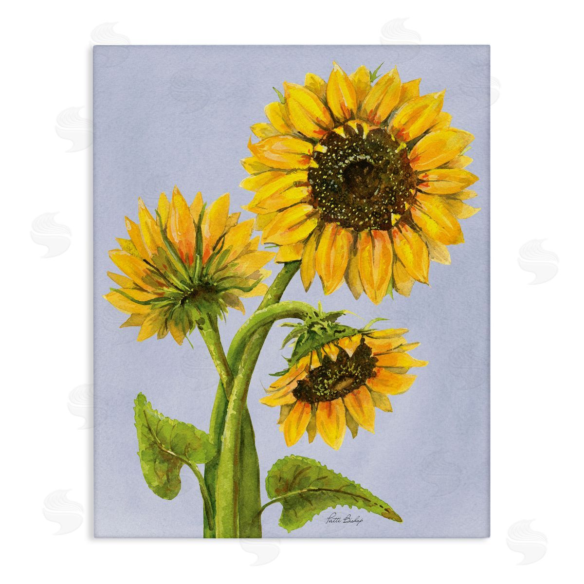 Patti Bishop Sunflower Trio Against Blue Canvas Wall Art Print