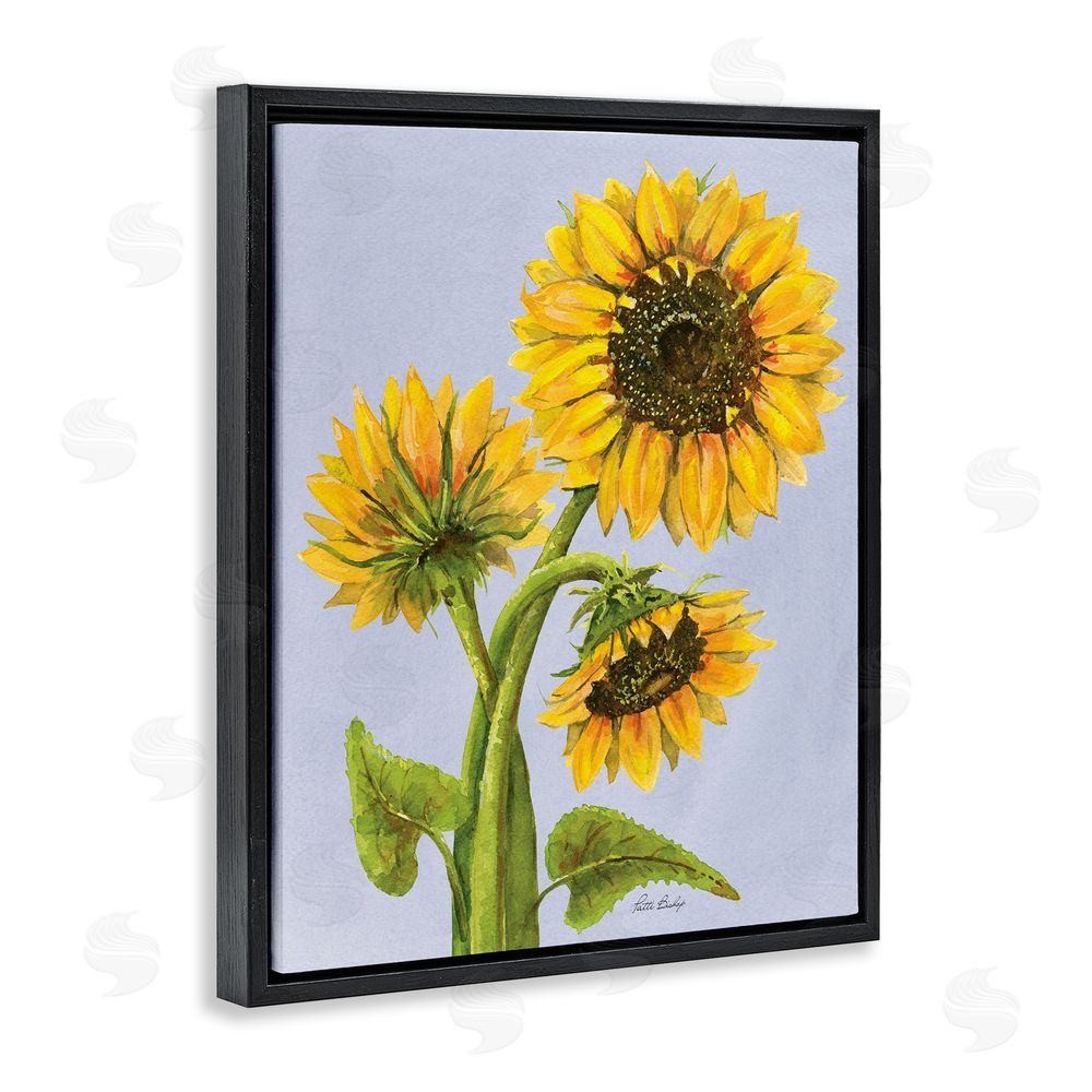Patti Bishop Sunflower Trio Against Blue Black Floating Frame Canvas Wall Art Print
