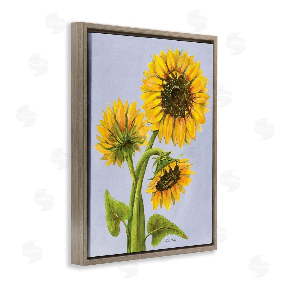 Patti Bishop Sunflower Trio Against Blue Brown Floating Frame Canvas Wall Art Print