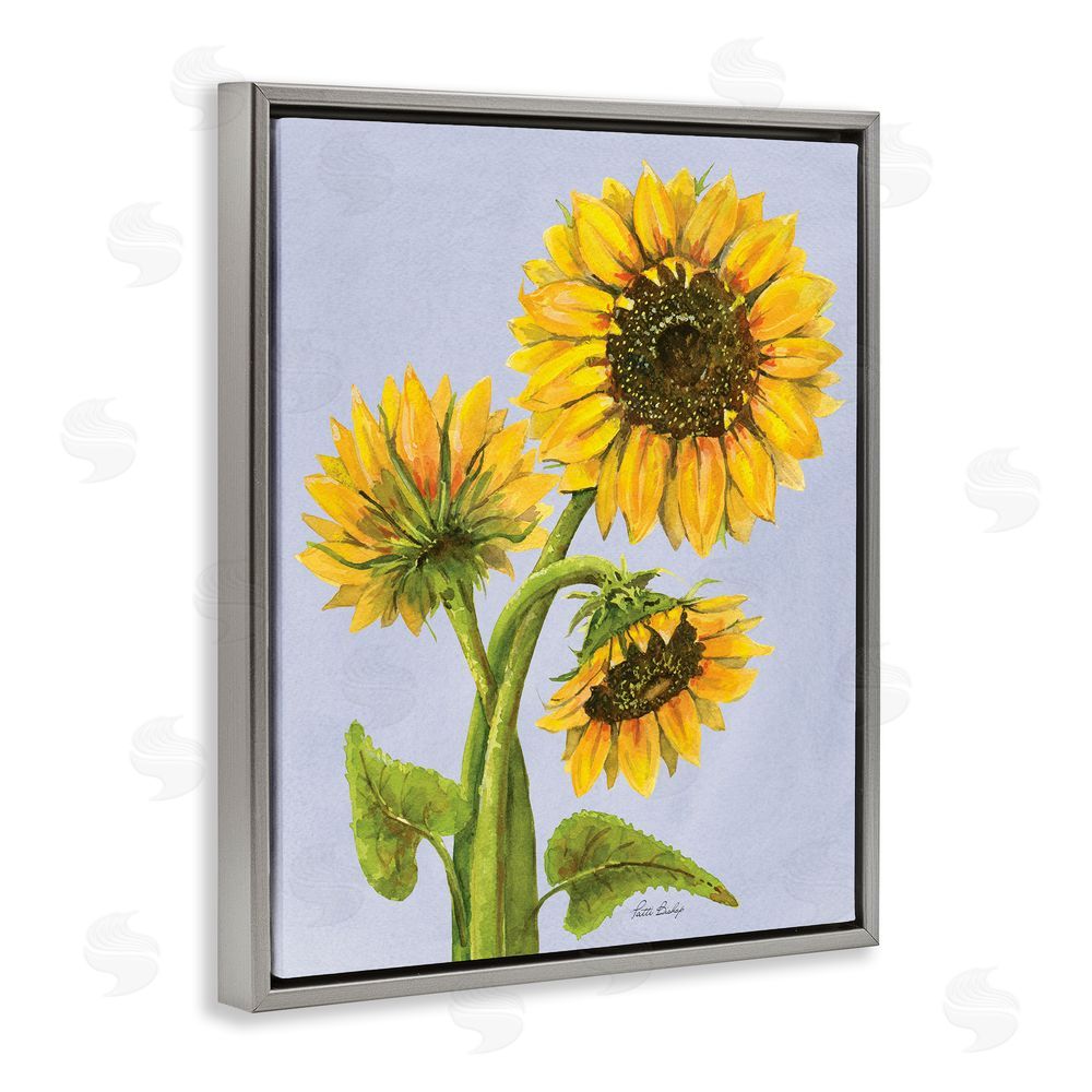 Patti Bishop Sunflower Trio Against Blue Gray Floating Frame Canvas Wall Art Print