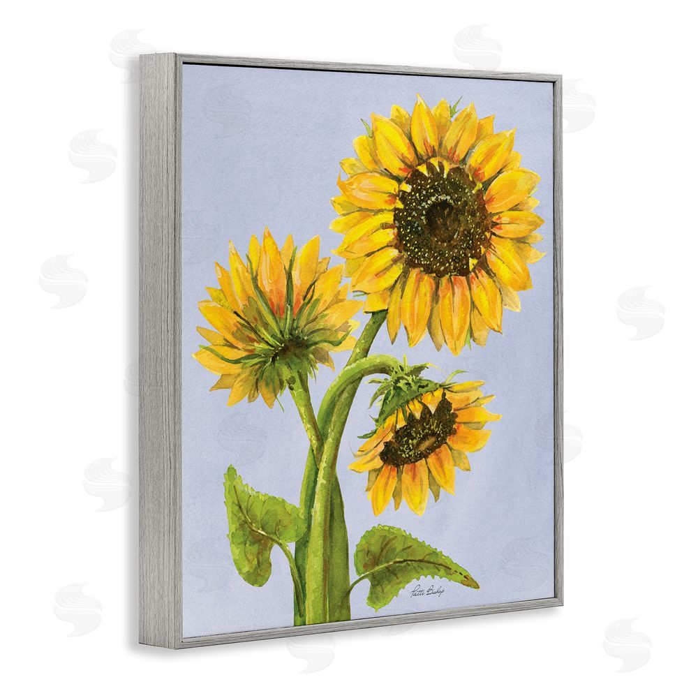 Patti Bishop Sunflower Trio Against Blue Gray Framed Giclee Wall Art Print