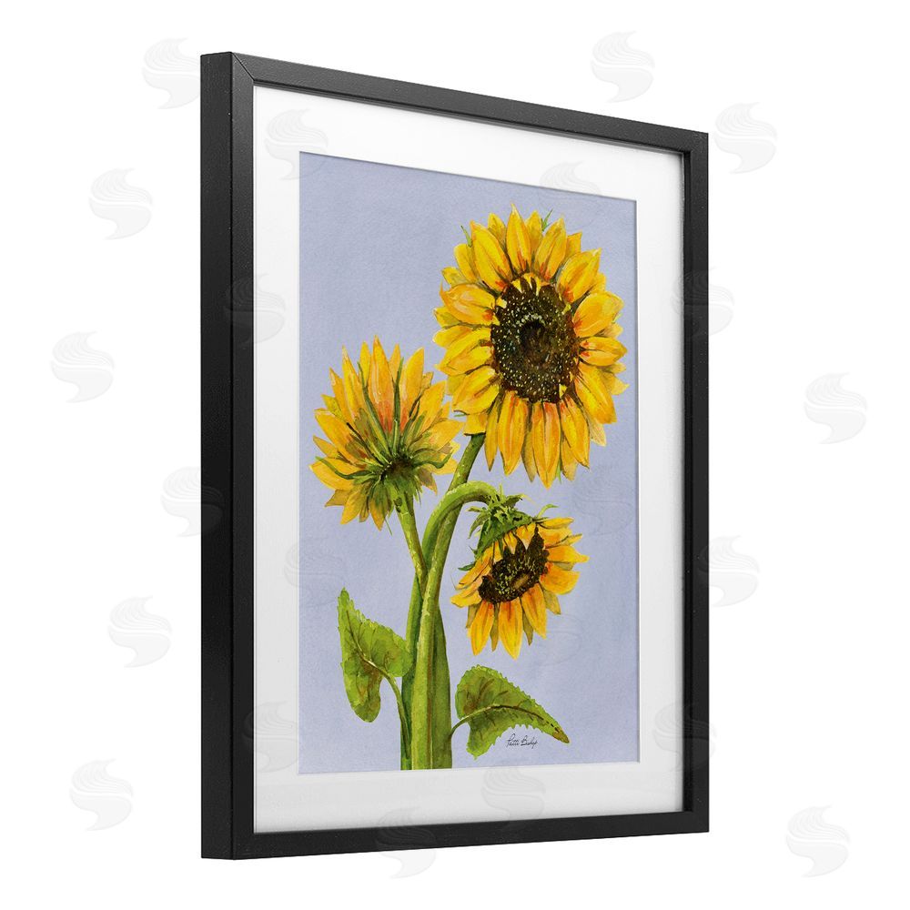 Patti Bishop Sunflower Trio Against Blue Black Framed Print Under Glass with White Mat Wall Art