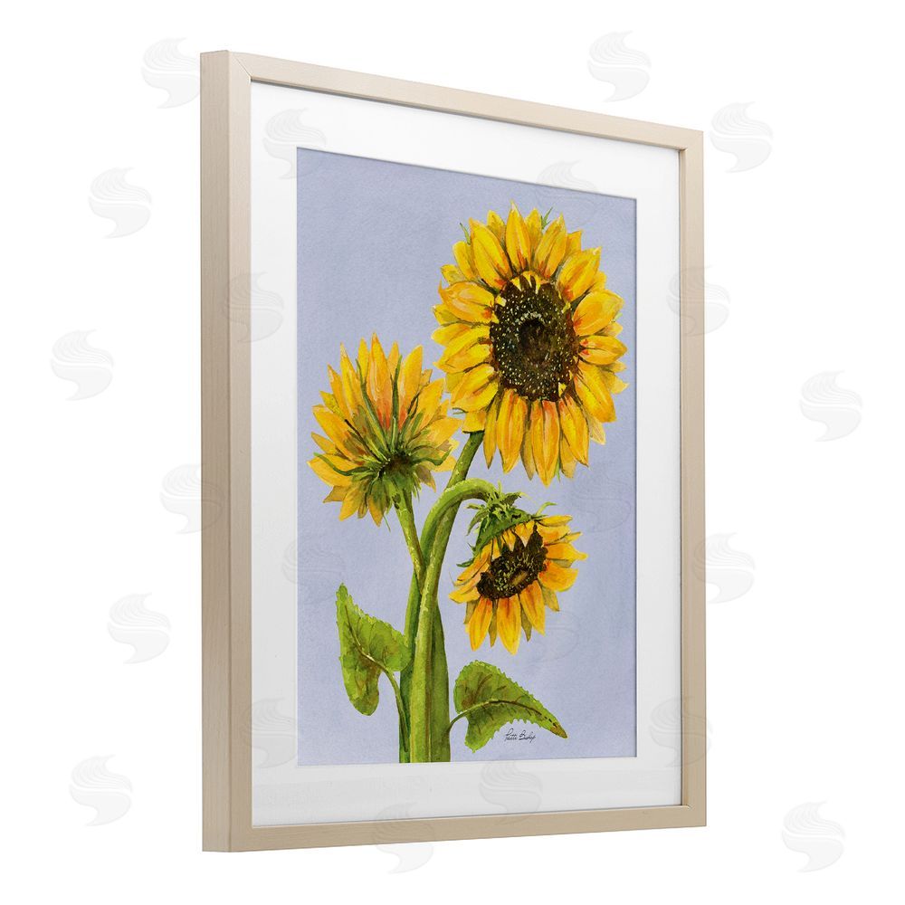 Patti Bishop Sunflower Trio Against Blue Birch Framed Print Under Glass with White Mat Wall Art