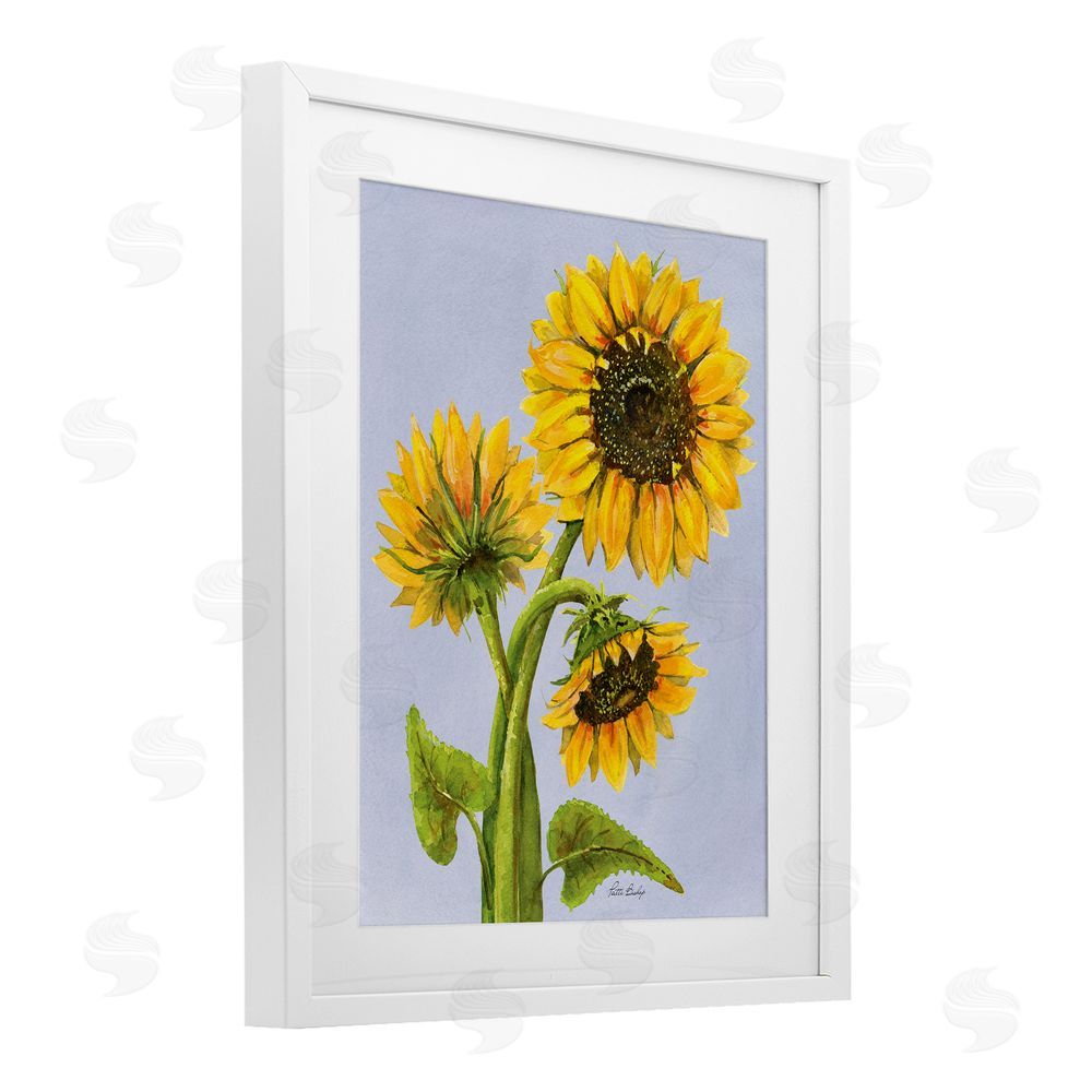 Patti Bishop Sunflower Trio Against Blue White Framed Print Under Glass with Mat Wall Art