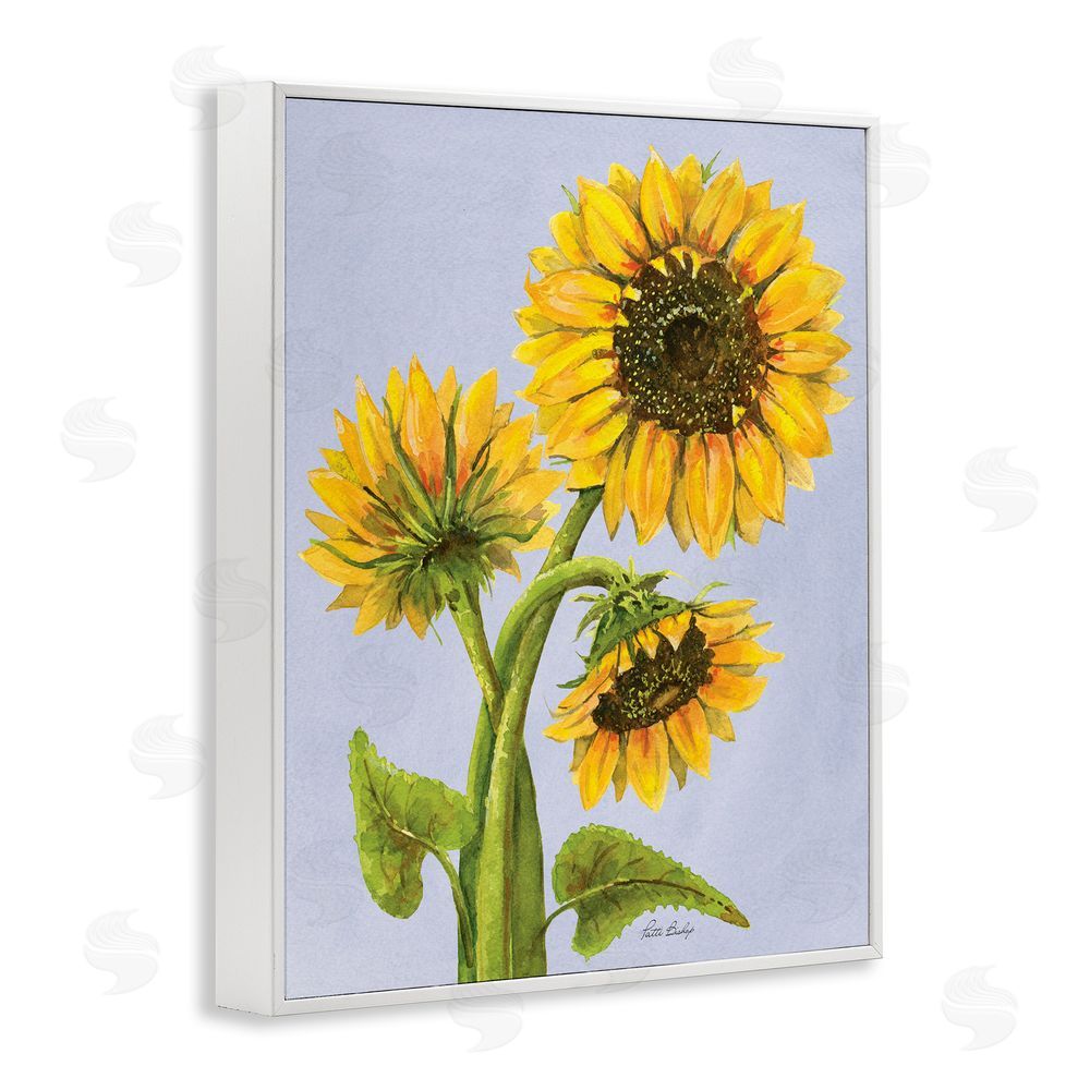 Patti Bishop Sunflower Trio Against Blue White Framed Giclee Wall Art Print