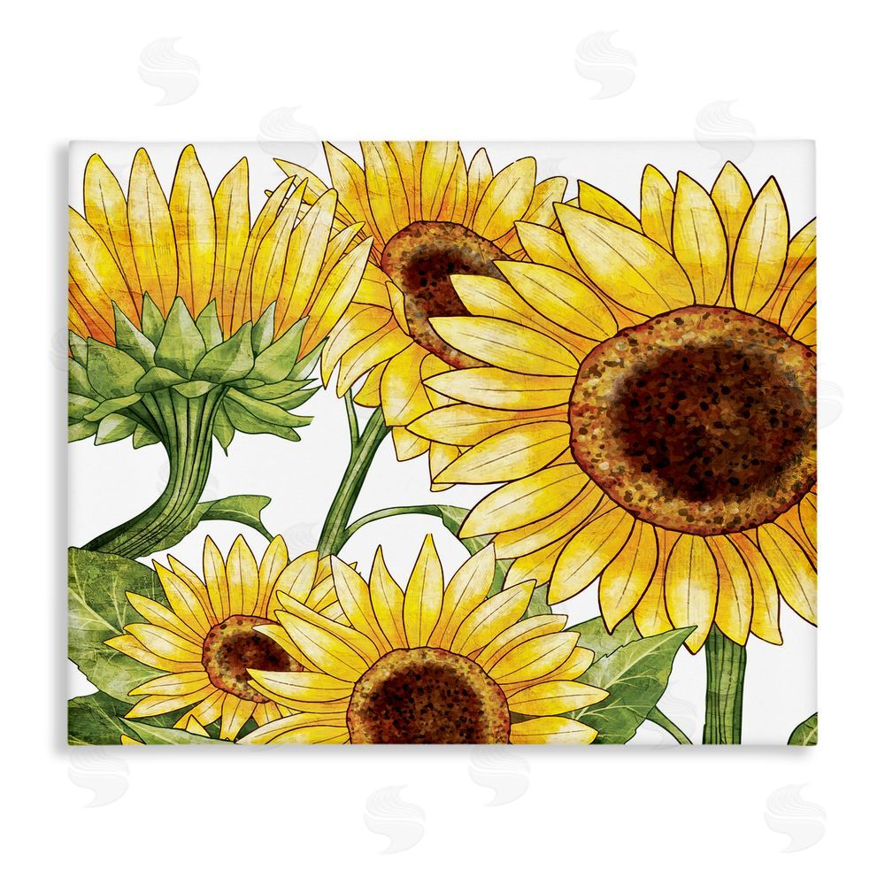 Kim Allen Rustic Bloom Sunflowers Canvas Wall Art Print