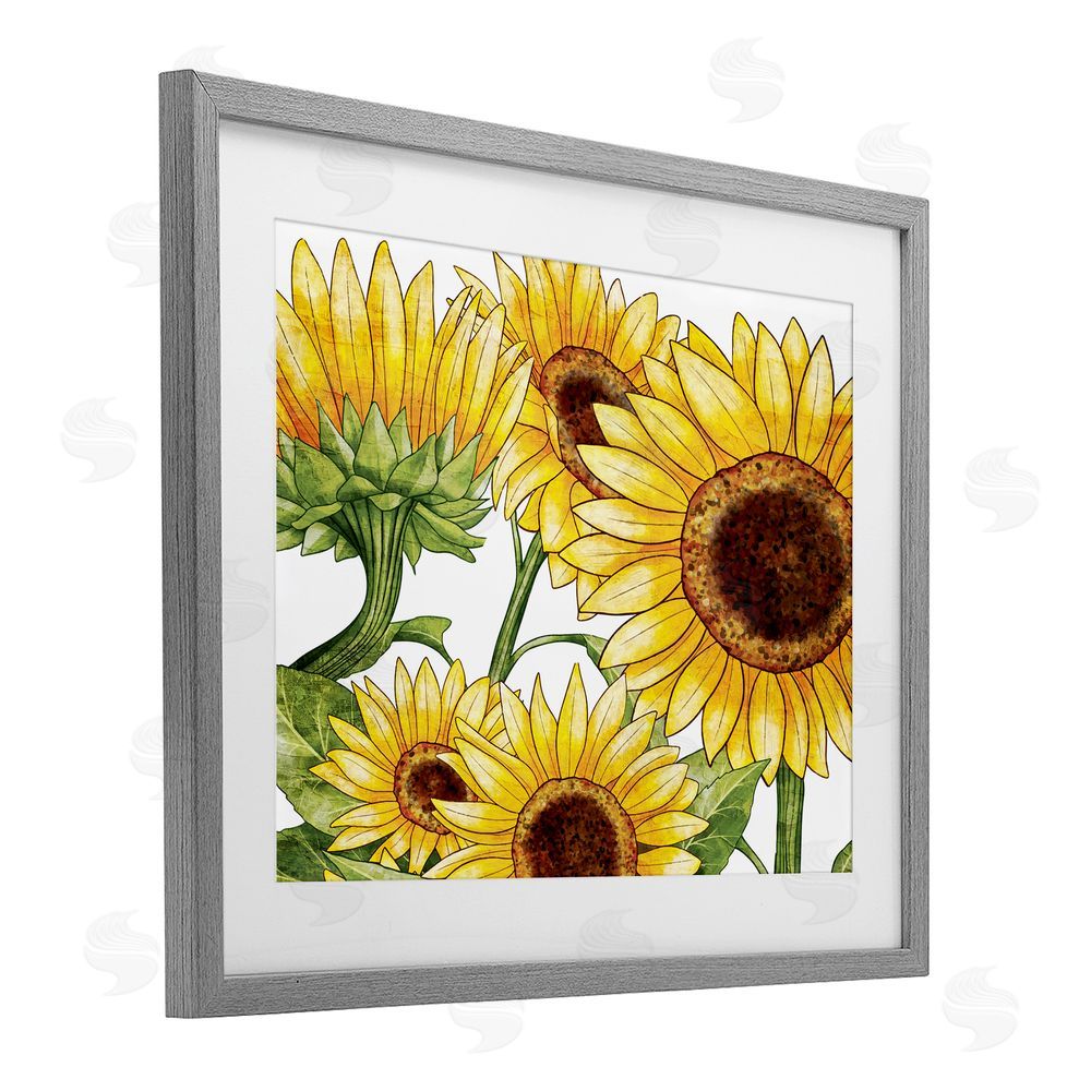 Kim Allen Rustic Bloom Sunflowers Gray Framed Print Under Glass with White Mat Wall Art