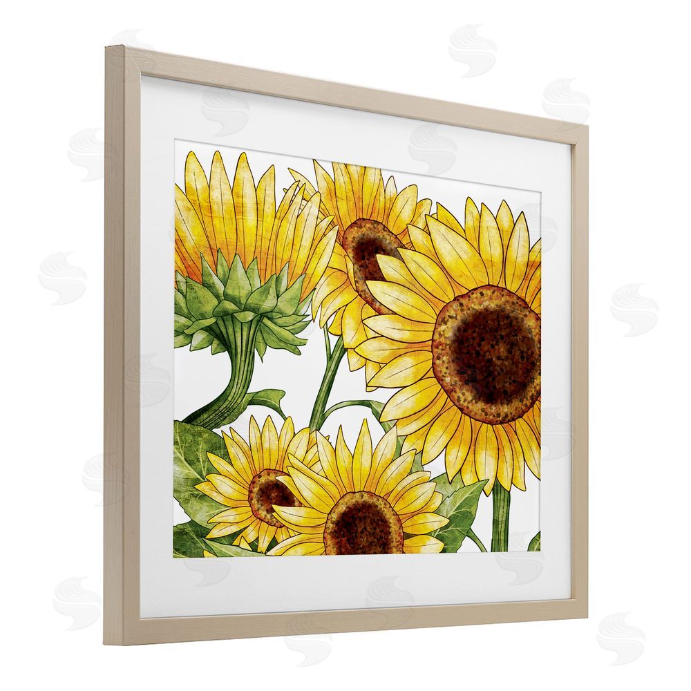 Kim Allen Rustic Bloom Sunflowers Birch Framed Print Under Glass with White Mat Wall Art