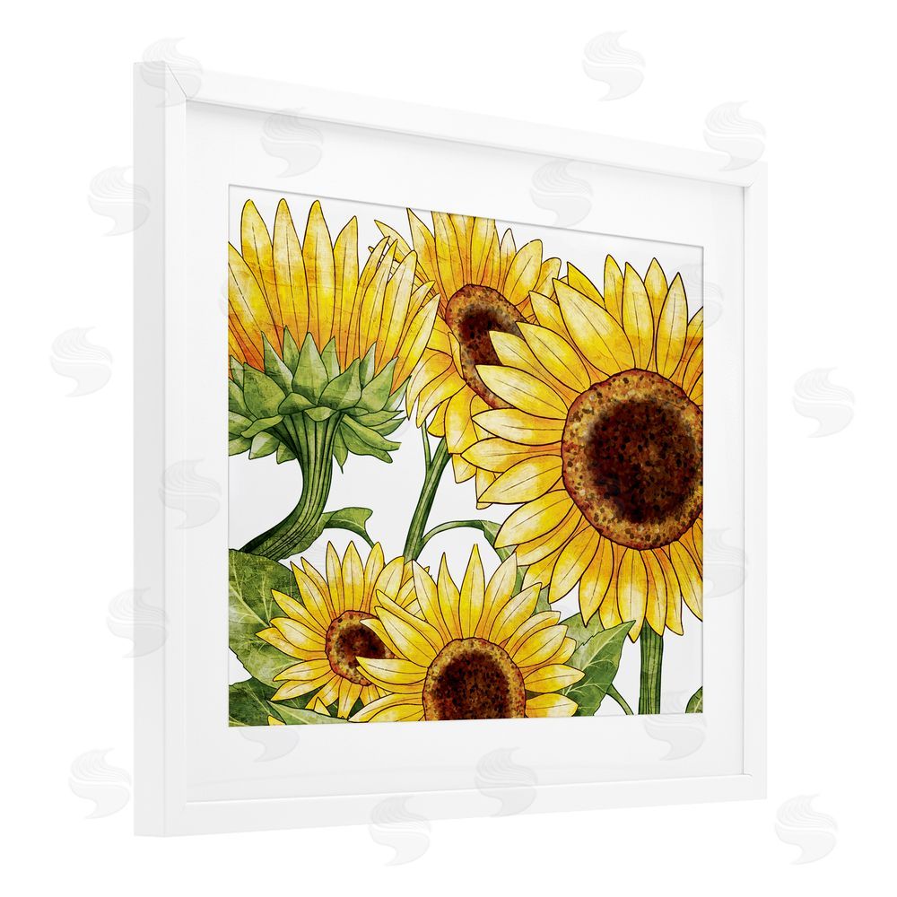 Kim Allen Rustic Bloom Sunflowers White Framed Print Under Glass with Mat Wall Art