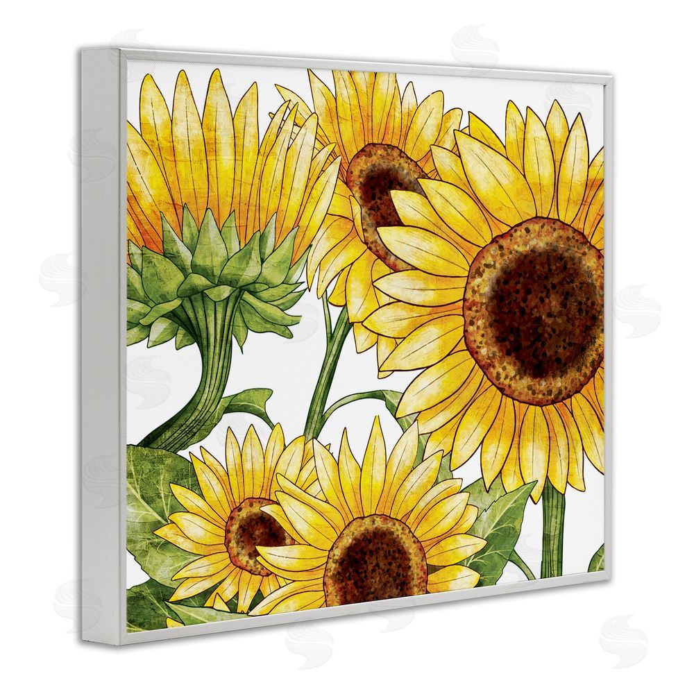 Kim Allen Rustic Bloom Sunflowers White Framed Giclee Wall Art Print