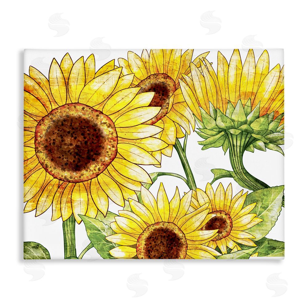 Kim Allen Peeking Sunflower Blooms Canvas Wall Art Print