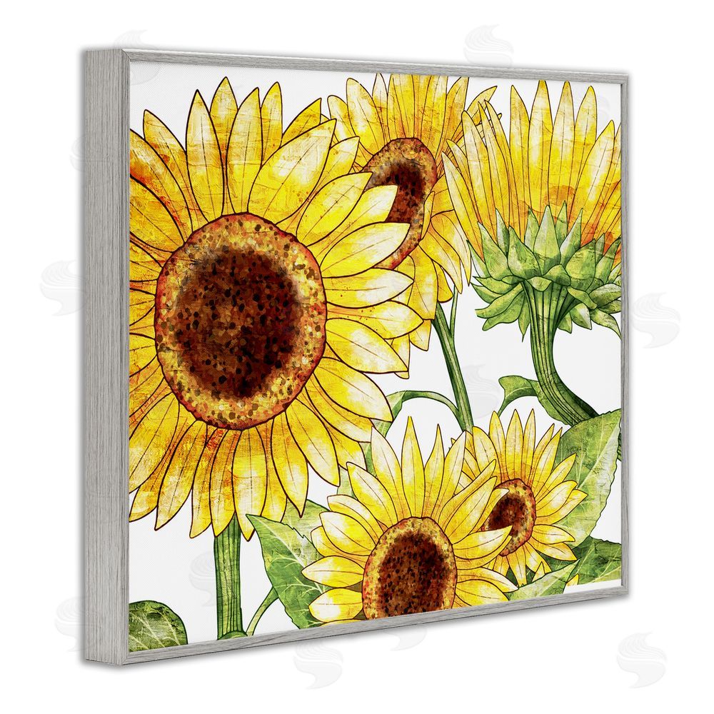 Kim Allen Peeking Sunflower Blooms Gray Framed Giclee Wall Art Print
