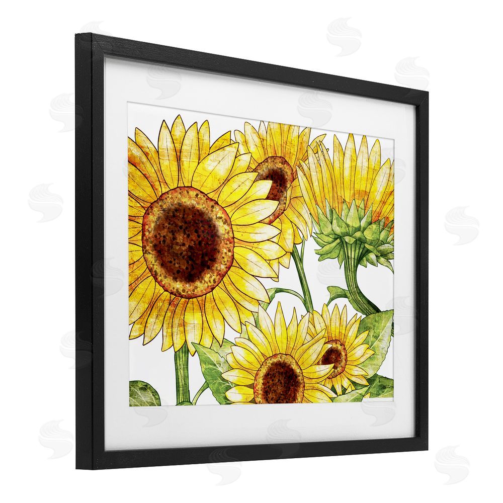 Kim Allen Peeking Sunflower Blooms Black Framed Print Under Glass with White Mat Wall Art