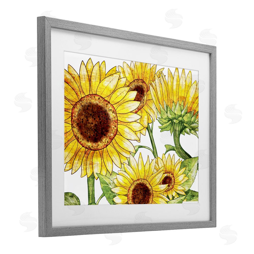 Kim Allen Peeking Sunflower Blooms Gray Framed Print Under Glass with White Mat Wall Art