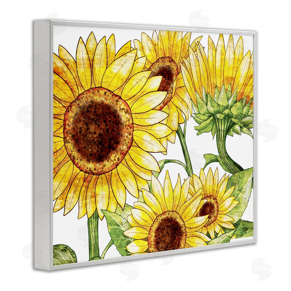 Kim Allen Peeking Sunflower Blooms White Framed Giclee Wall Art Print