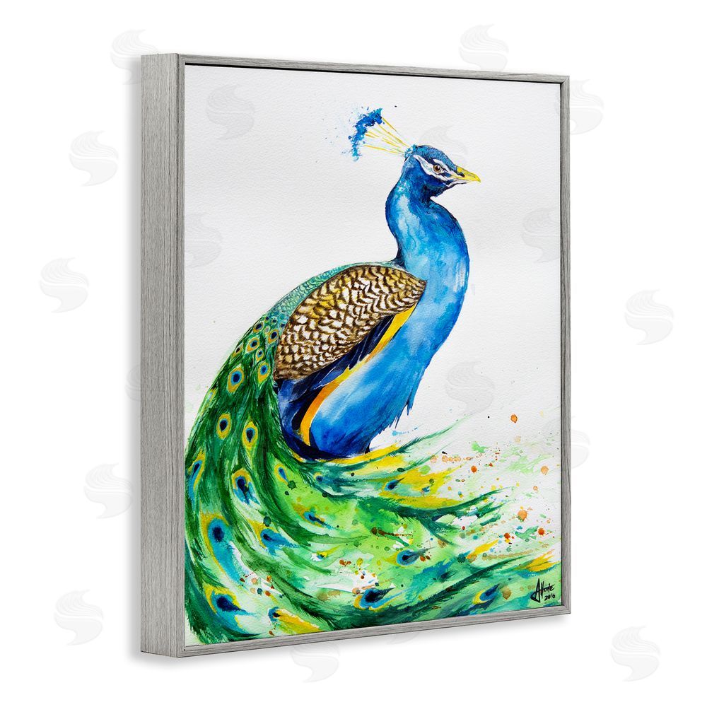 Marc Allante Aphrodite Peacock Portrait Gray Framed Giclee Wall Art Print